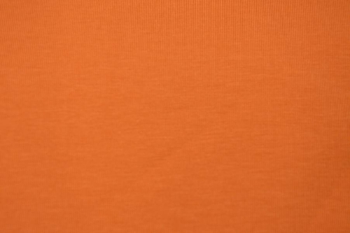 Jersey uni GOTS | Amber